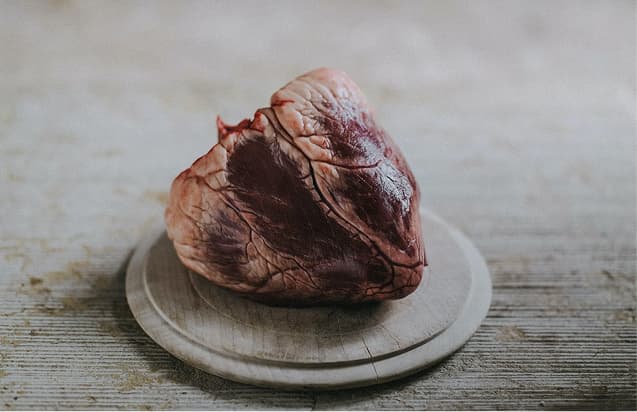 Organ meat