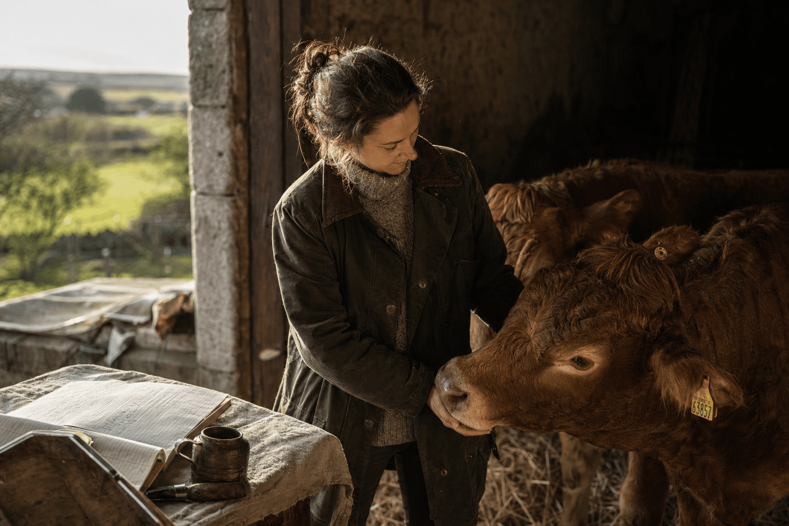 Why Ingredient Traceability Matters More Than Marketing Claims — ingredient traceability farm to bottle