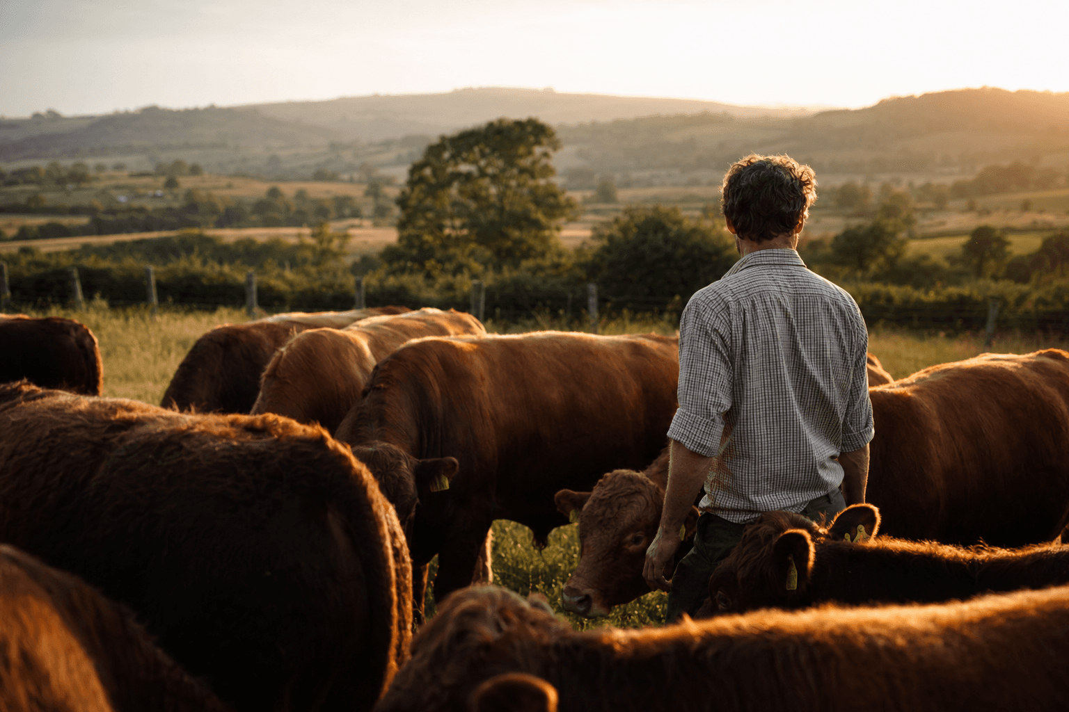 Why We Partner with Regenerative Farms — organised regenerative farms