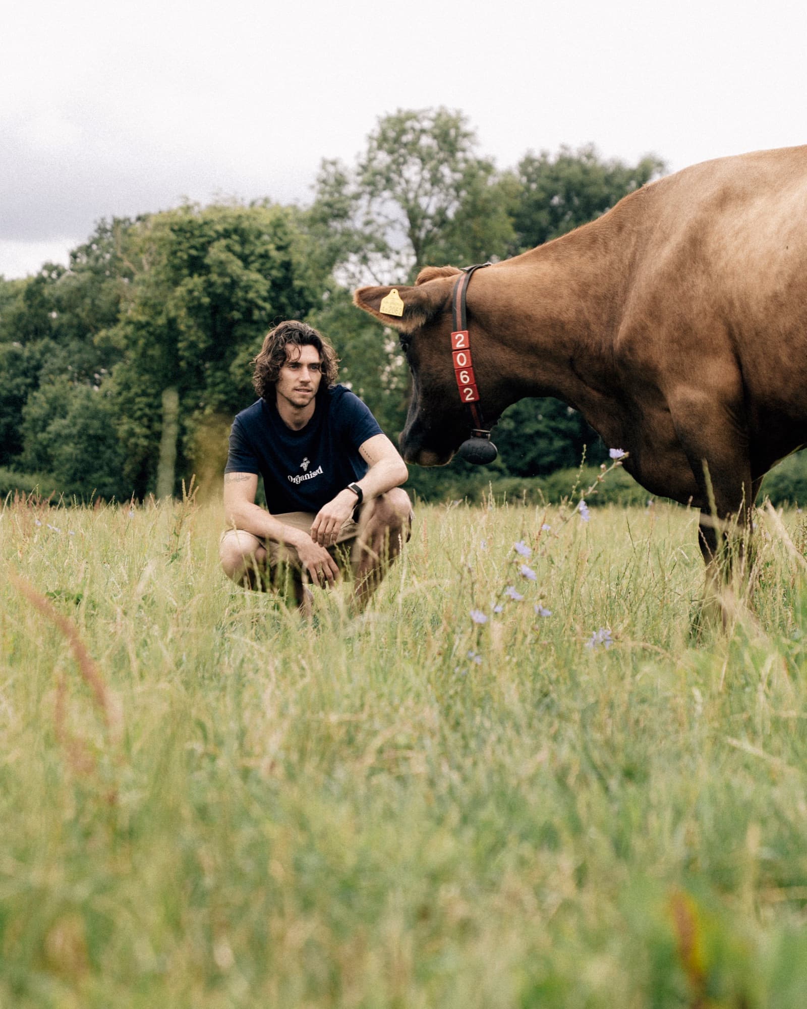 Niall crouched in a meadow of long grass, face to face with a Jersey cow