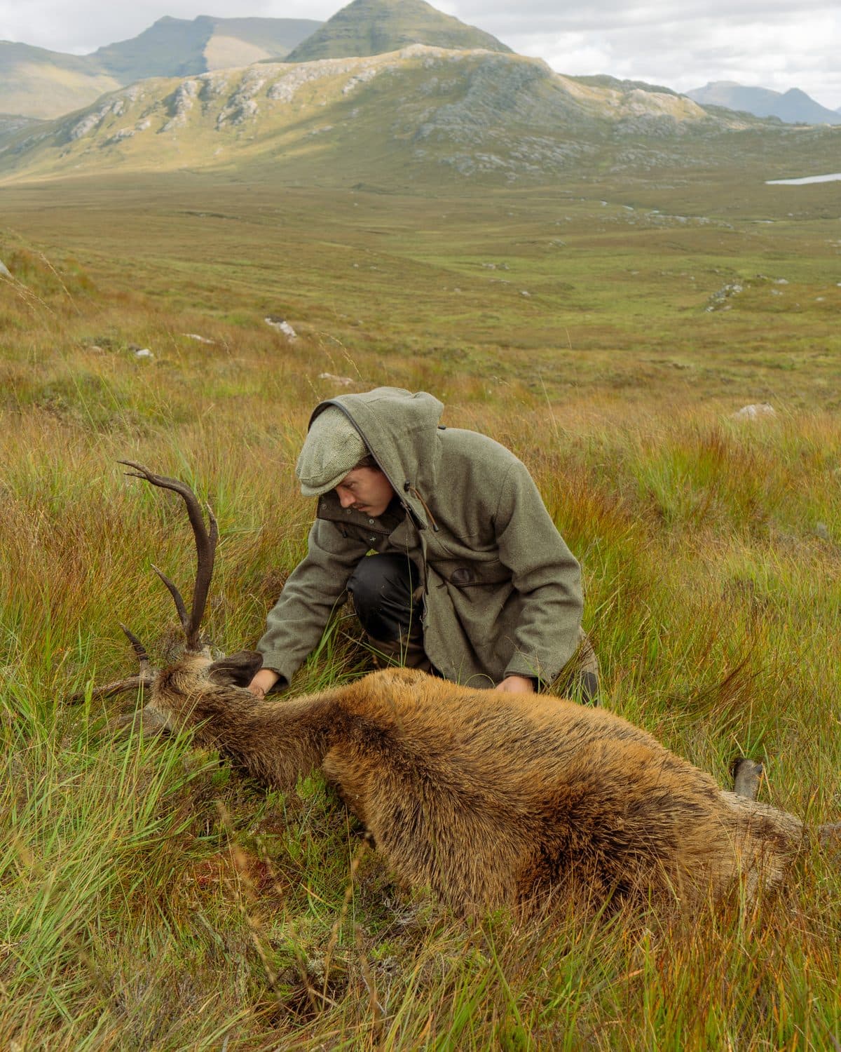 A hunter in a tweed jacket kneels beside a red deer stag on the open moor, the hills behind