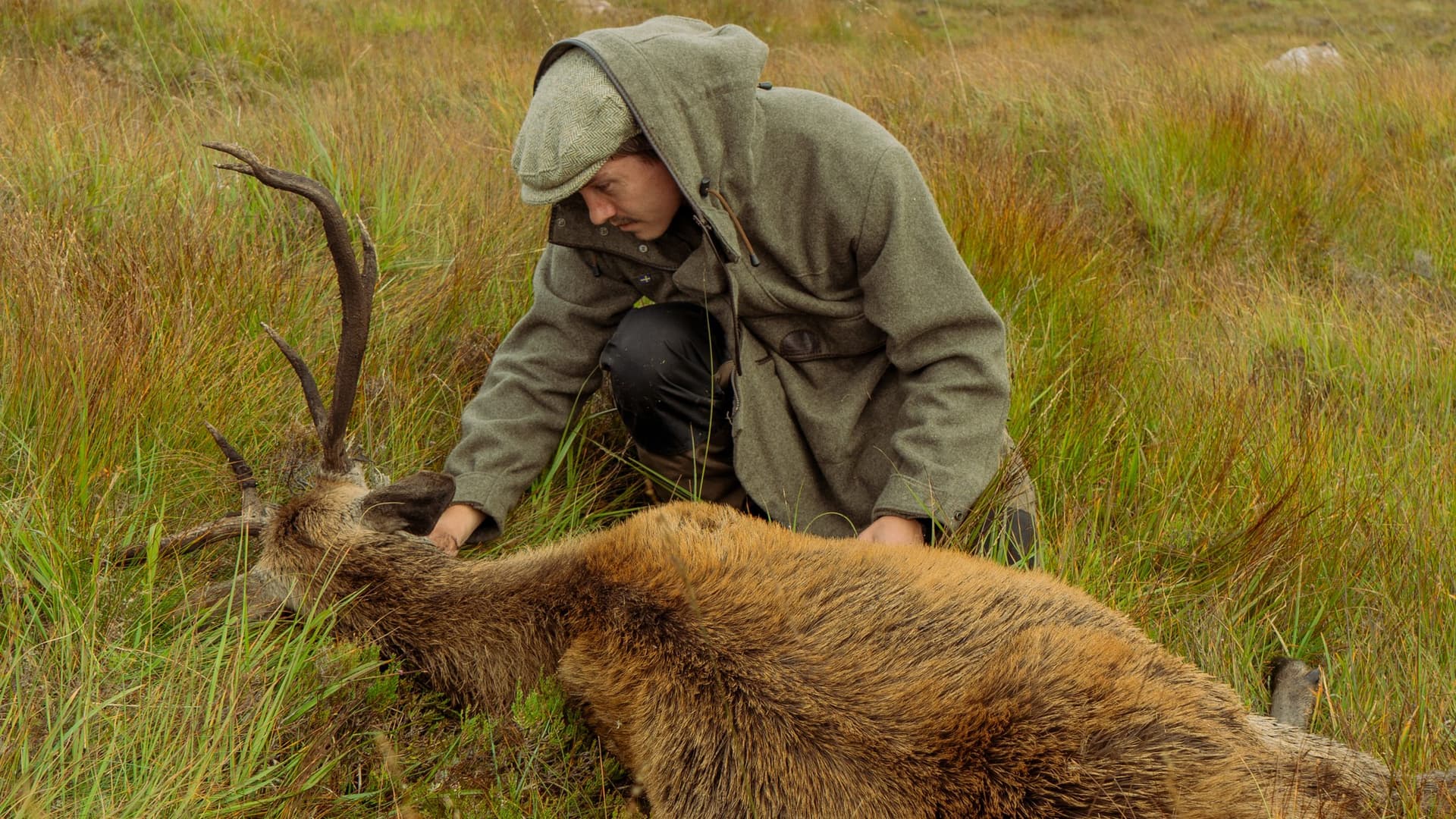 A hunter in a tweed jacket kneels beside a red deer stag on the open moor, the hills behind