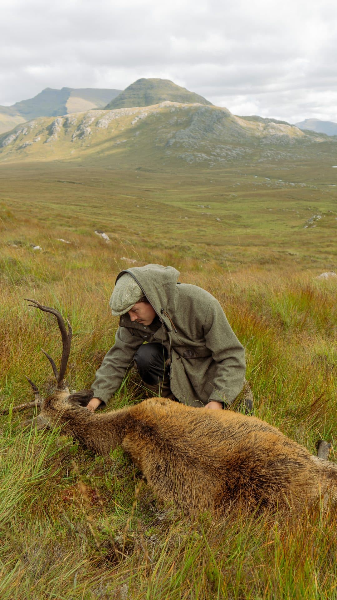 A hunter in a tweed jacket kneels beside a red deer stag on the open moor, the hills behind