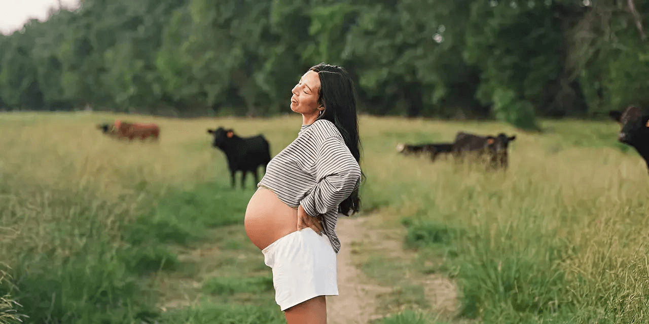 Do Beef Organs Help with Fertility? An Ancestral Guide, beef organs for fertility