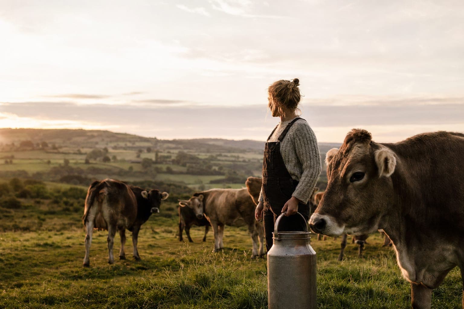 A person standing with cattle in a green pasture at golden hour