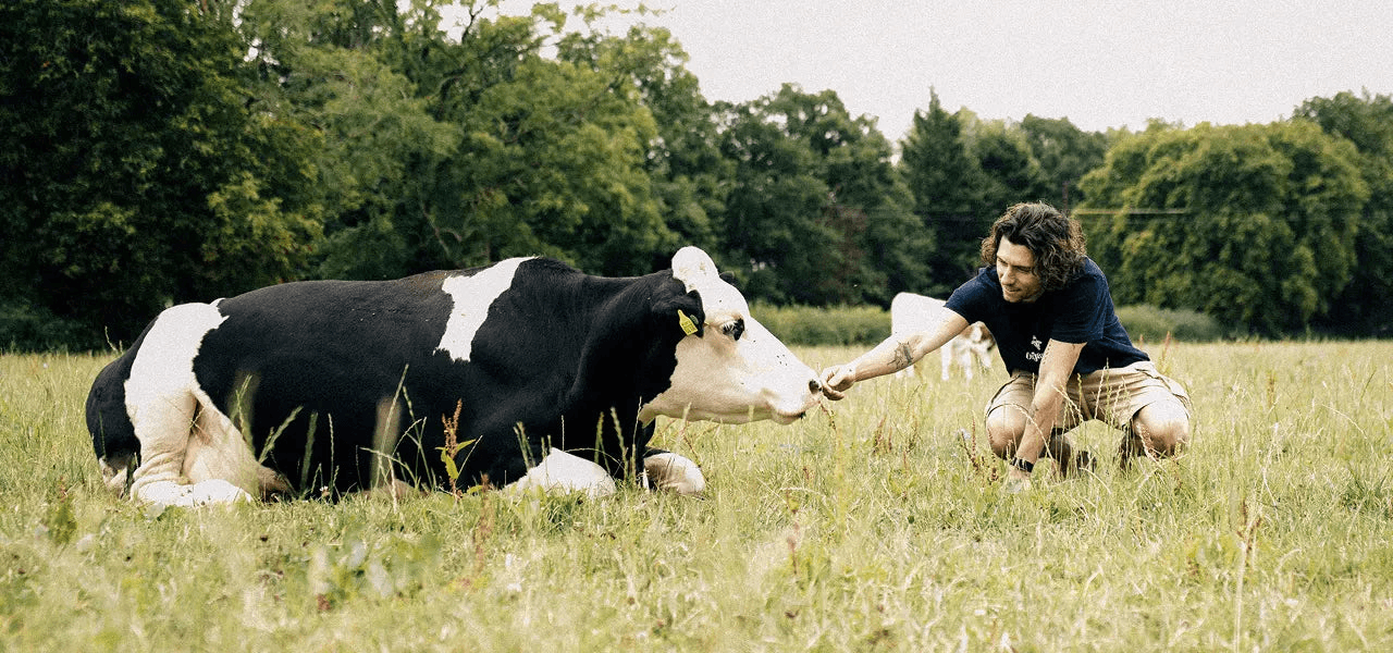 What Is an Animal Based Diet? Definition, Benefits, Food List, and How to Source Well