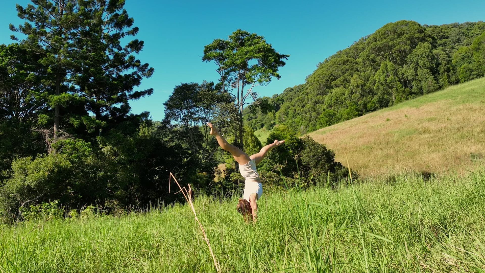 A woman holding a handstand in the long grass of a sunlit meadow, wooded hills behind
