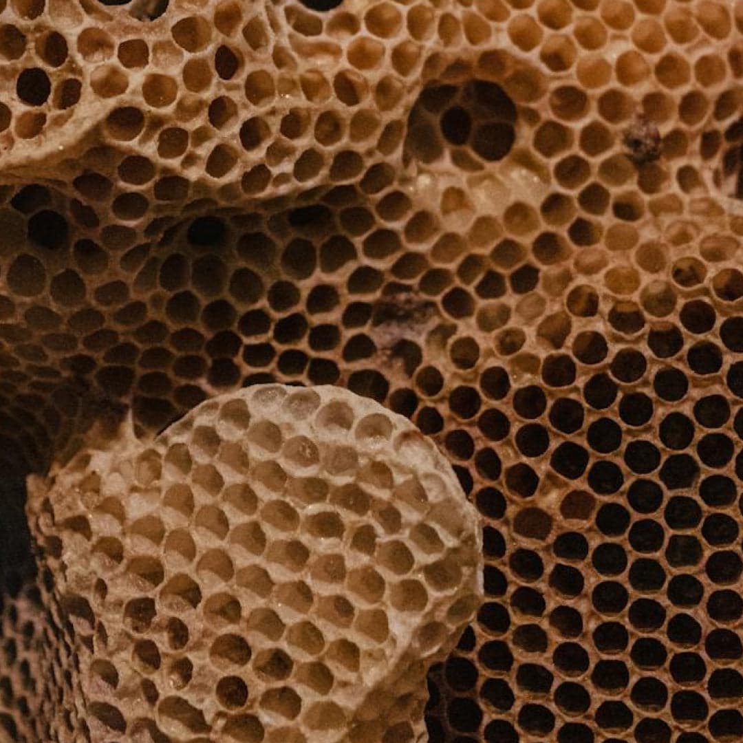 Raw honey