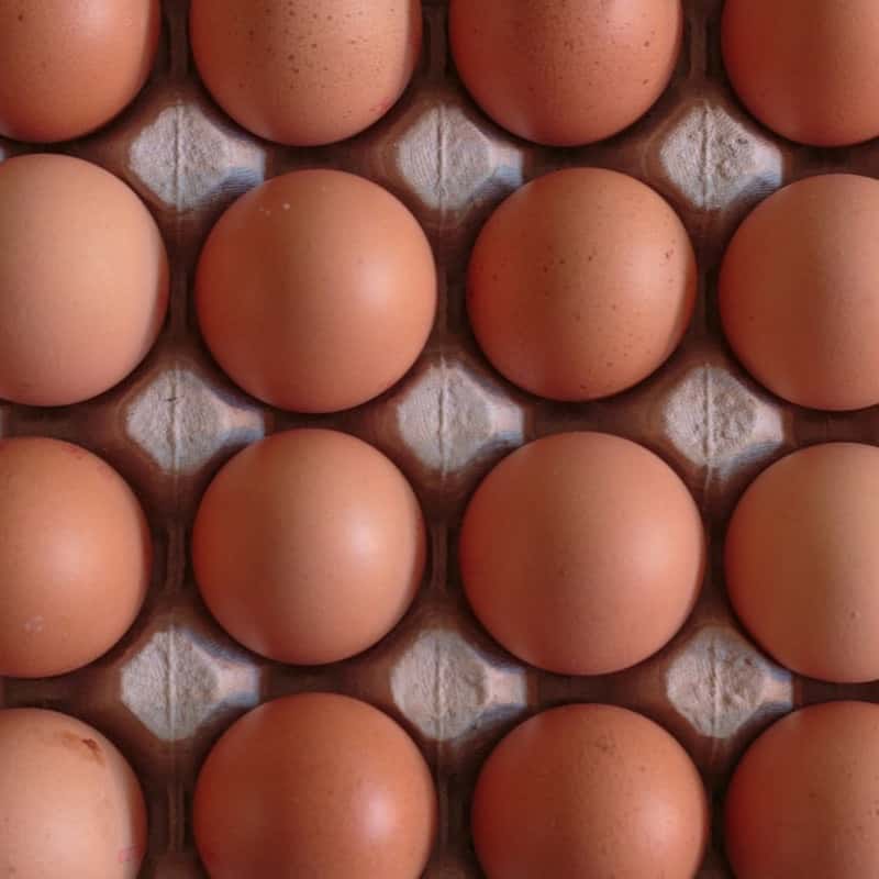 Brown eggs in a carton, close up