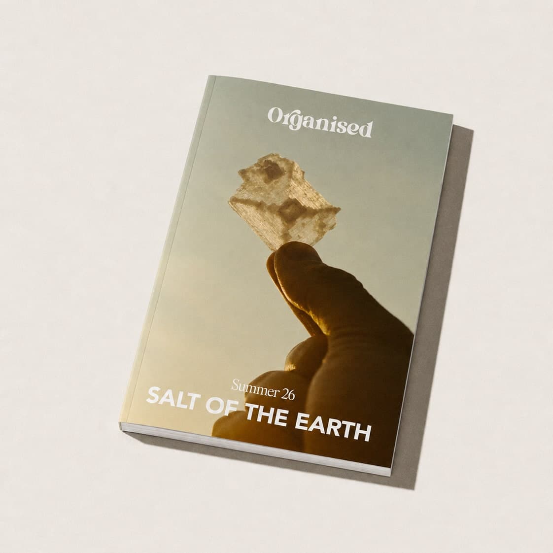 Exclusive Zine every season