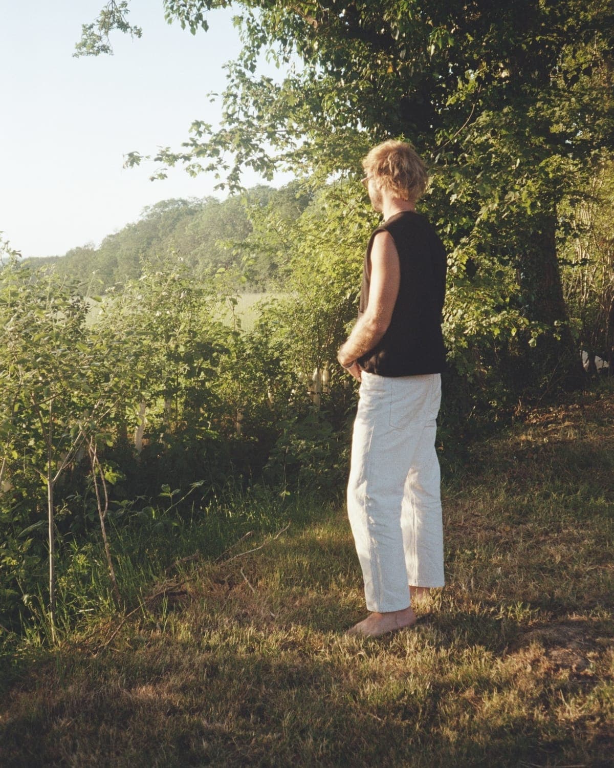 A woman standing under a tree at the edge of a field, looking out across the valley in low evening light