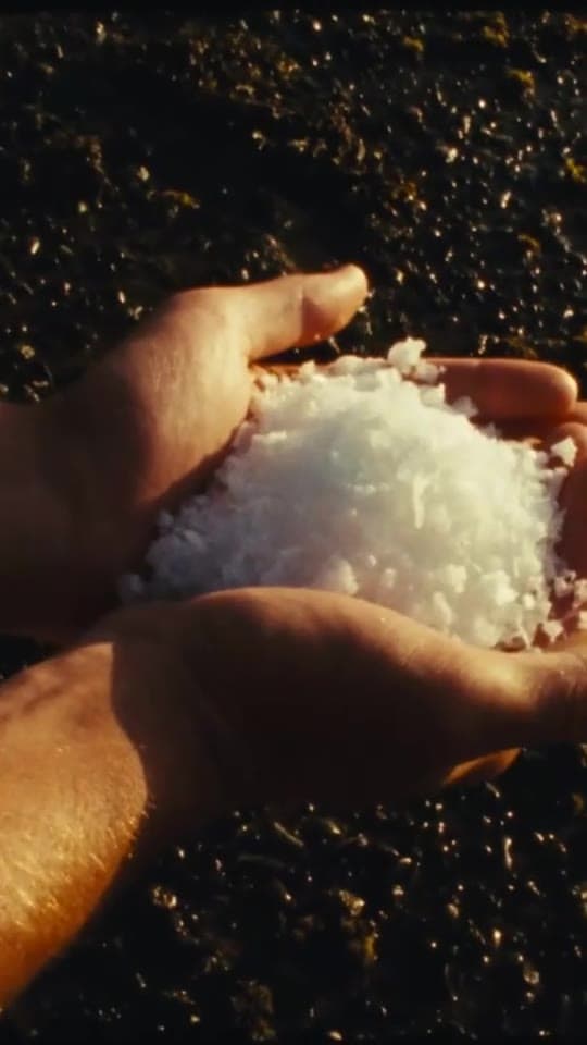 Two hands cupping a heap of white sea salt over the dark shingle of a beach