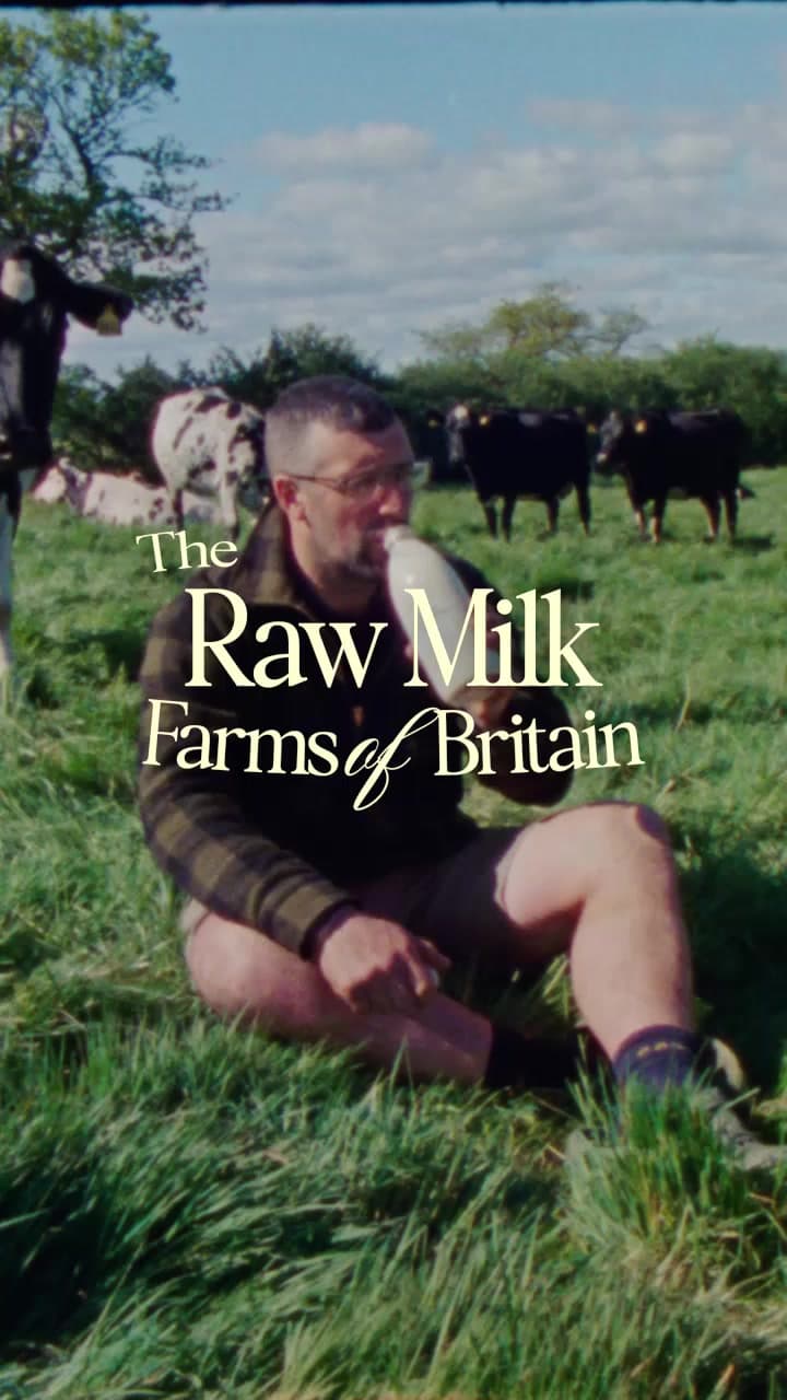 Matt Aidley sits with his herd at Hill Farm drinking from a bottle of milk, in the opening frame of the farm reel titled "The Raw Milk Farms of Britain"
