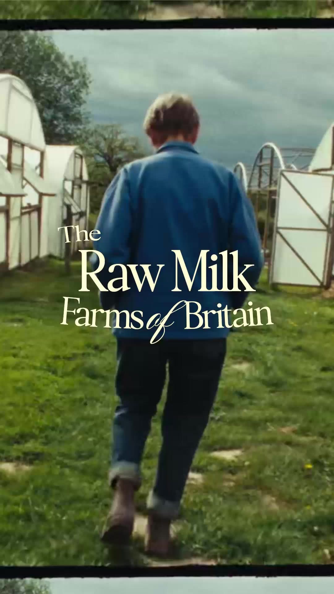 Jenny Thornhill, seen from behind, walks between the polytunnels at Plaw Hatch Farm, in the opening frame of the farm reel titled "The Raw Milk Farms of Britain"