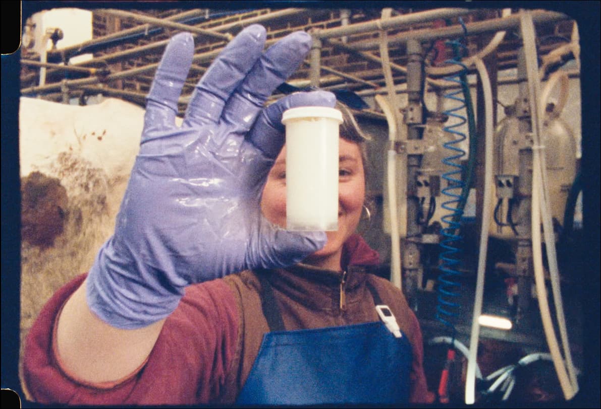 A dairy worker holds up a sample of milk for testing