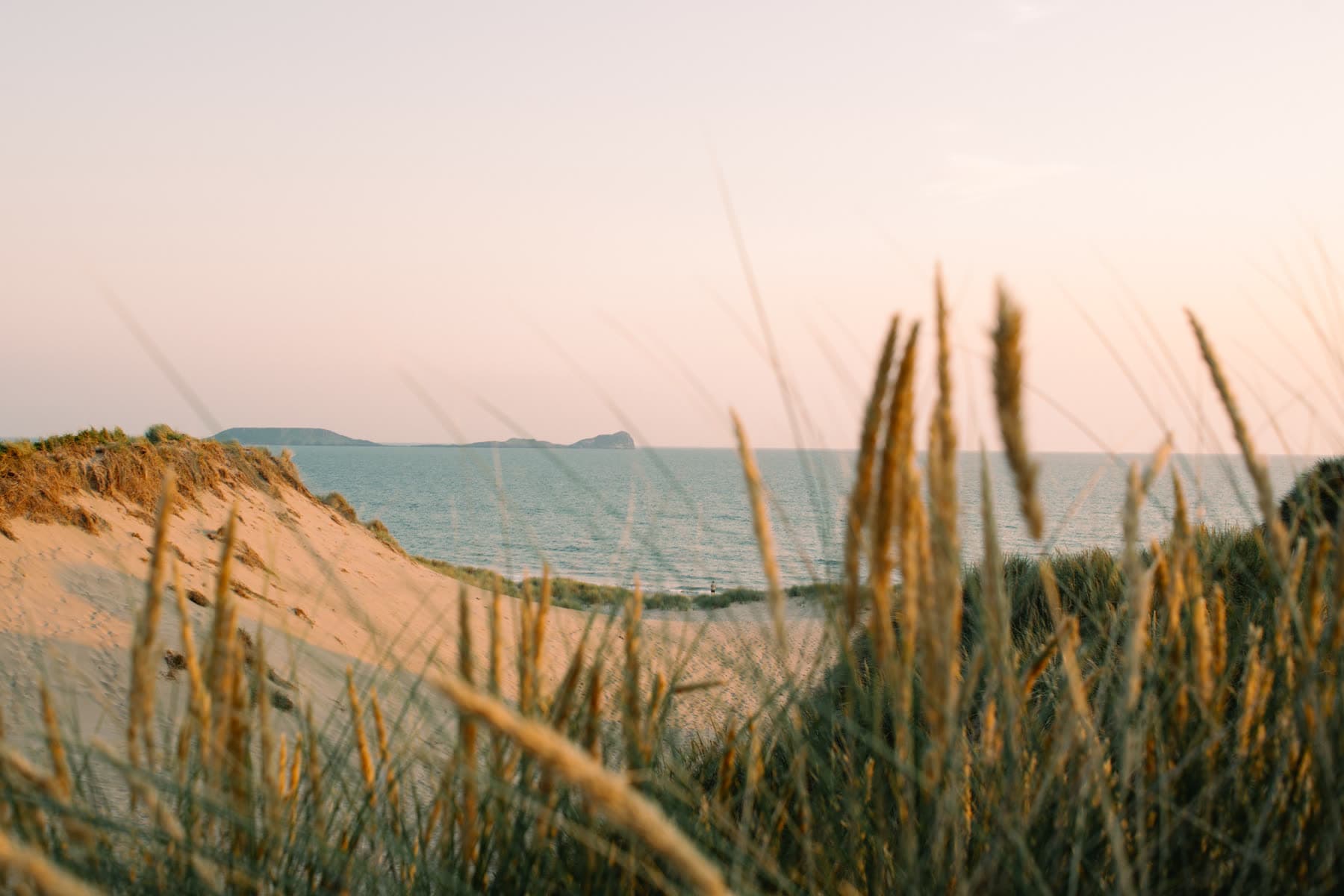 Dune grass at dusk under a pink sky, a lone figure down on the beach and islands out to sea