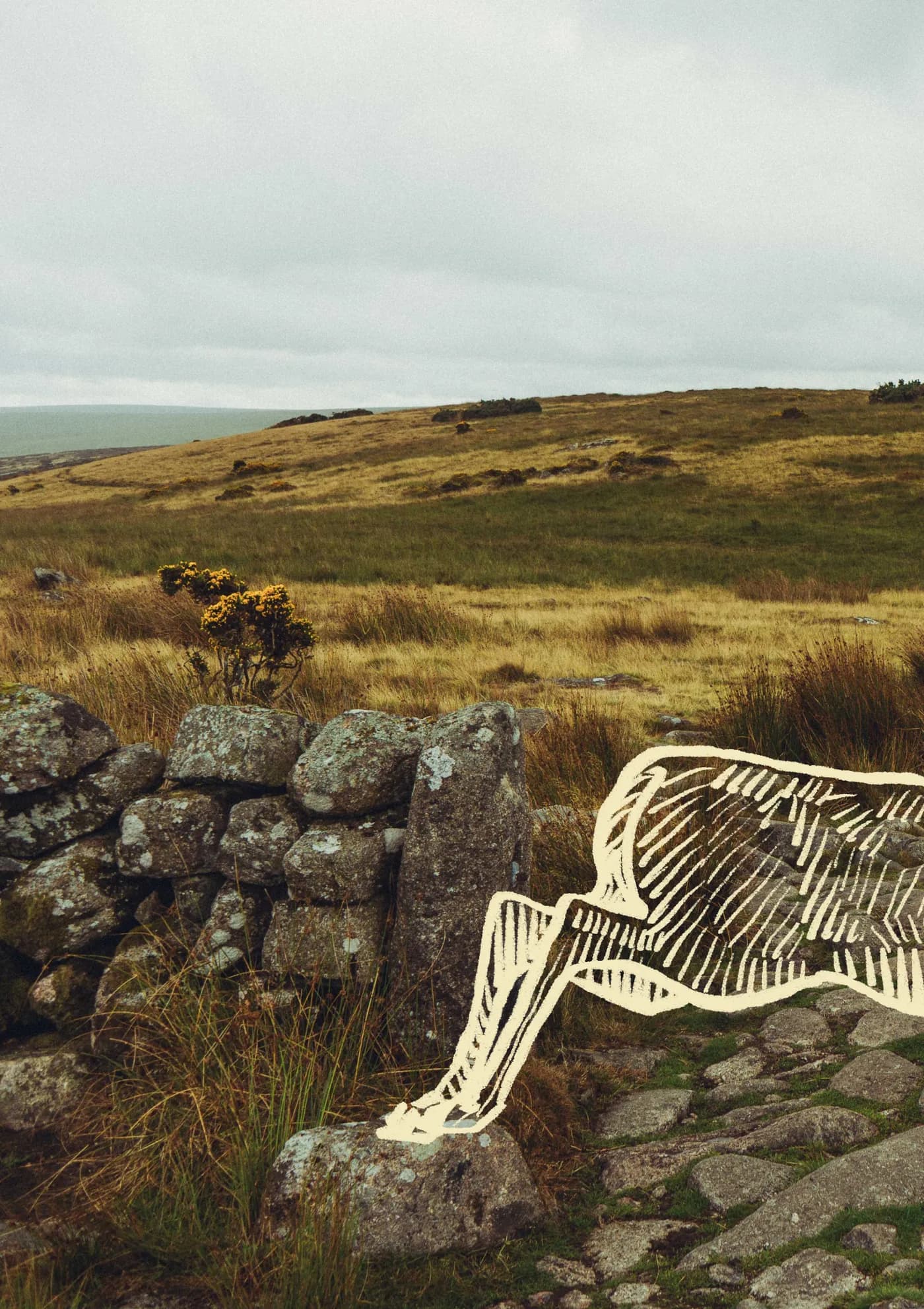 Nose to Tail zine, inside front cover, a stag drawn over a stone wall