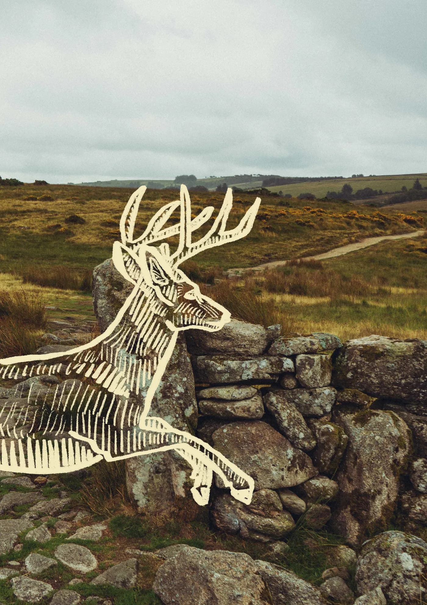 Nose to Tail zine, page 1, the stag over the stone wall