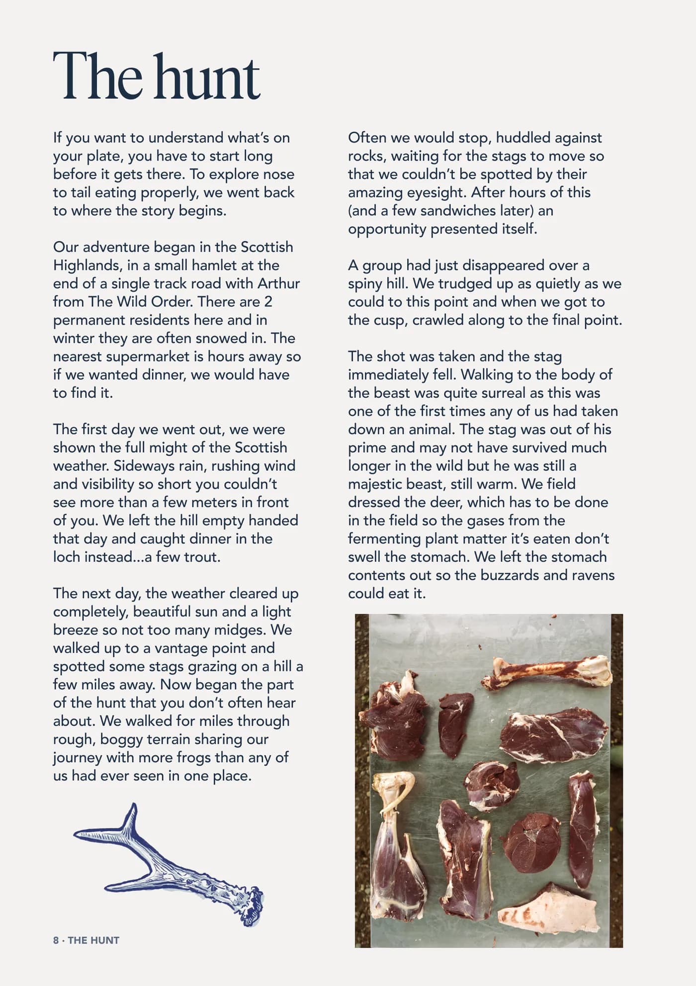Nose to Tail zine, page 8, The hunt