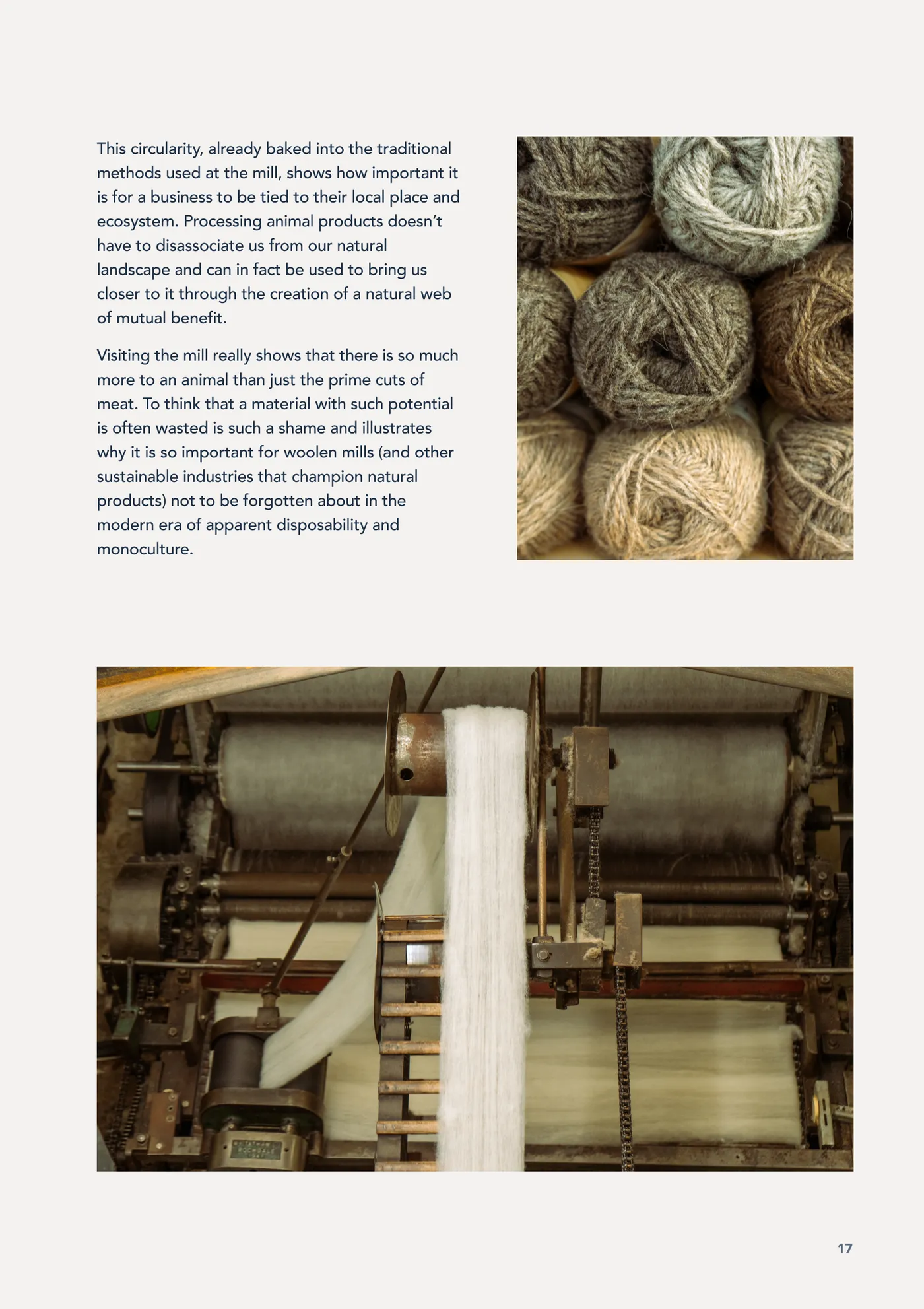 Nose to Tail zine, page 17, The wool mill, a fleece turned to yarn