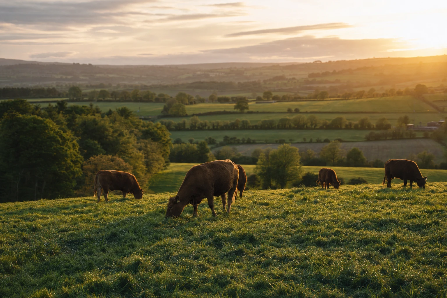 A farm landscape with cattle grazing