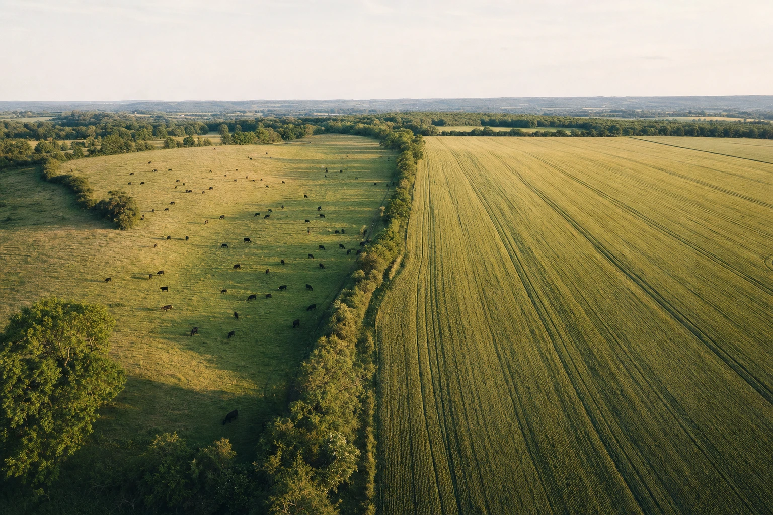 Aerial view of diverse rotational grazing pasture with cattle, contrasted with monoculture field