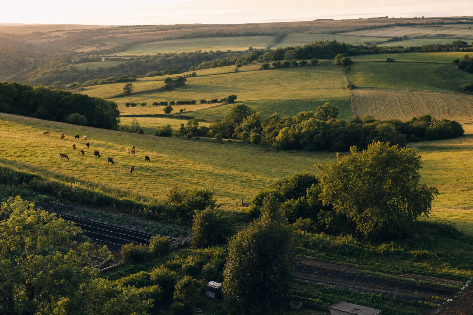 Aerial view of diverse regenerative farm landscape