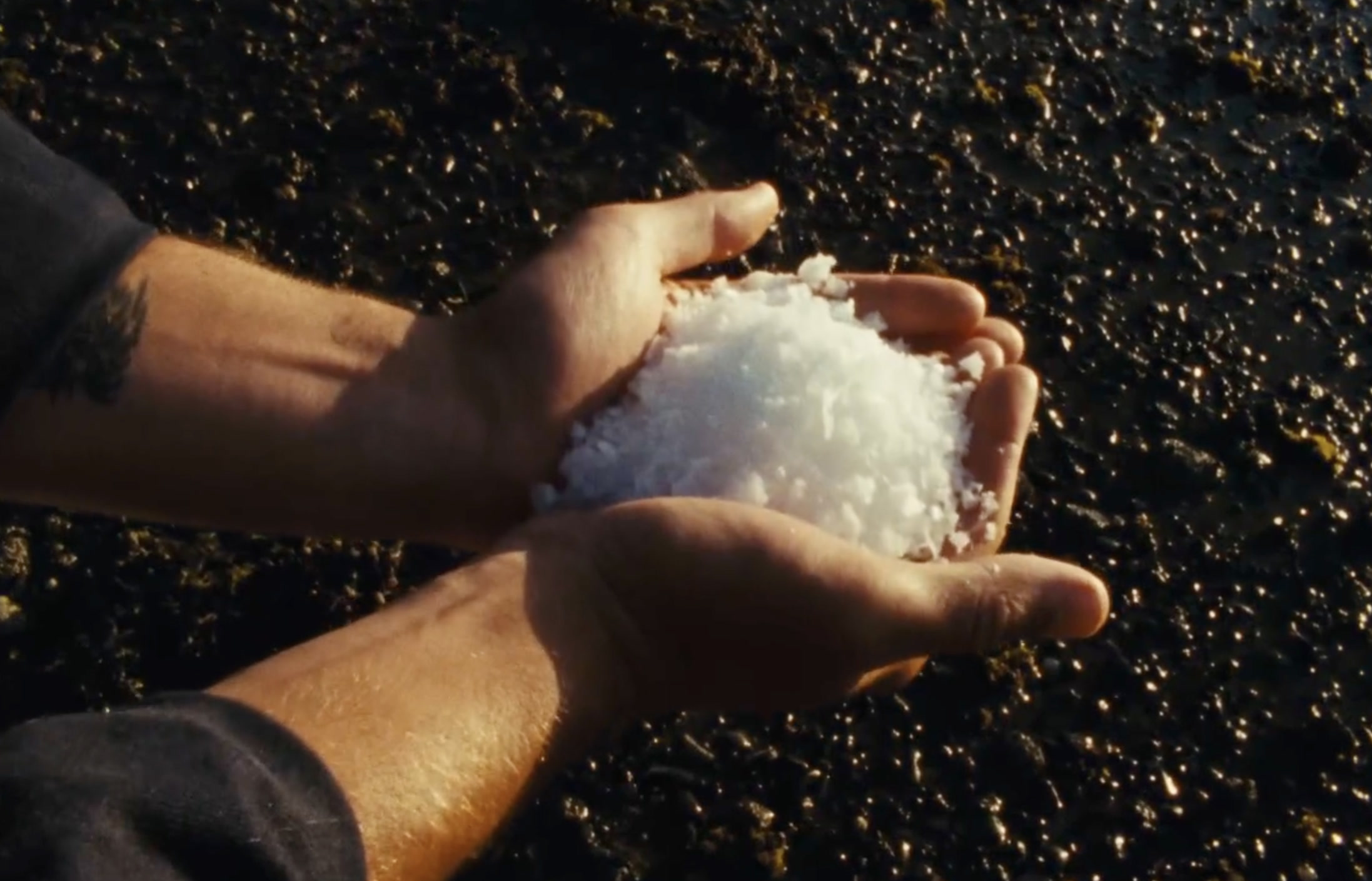 Freshly harvested sea salt